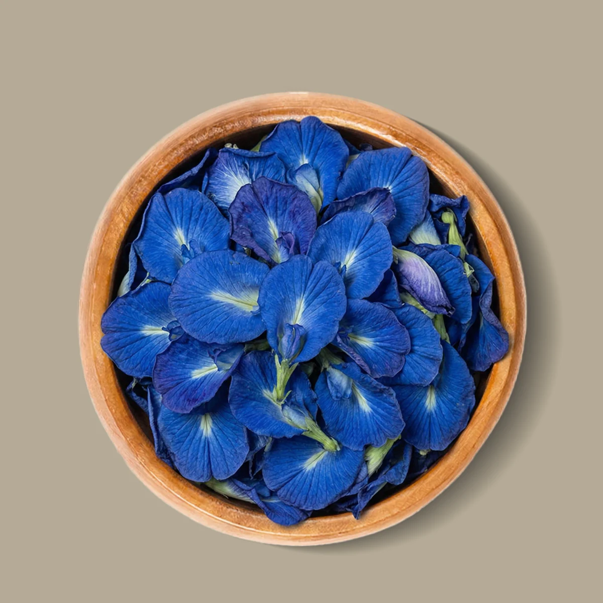 Blue Pea Flower